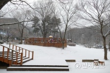 [과천] 눈 덮인 마을 공원