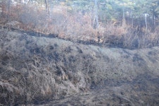 안산시 단원구 대선로 다가구 주택 화재… 1명 중상