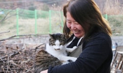 [이슈in] 버려지는 동물만 연간 10만마리… 동물도 존중받을 권리가 있어요