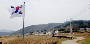 진도군 군내면, 3.1절 앞두고 100개의 태극기 펄럭여