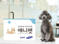 [펫보험] 삼성화재 다이렉트 반려견보험 애니펫