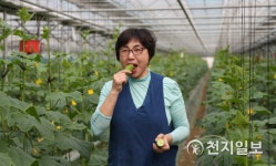 천안 아우내 오이… 맛 최고