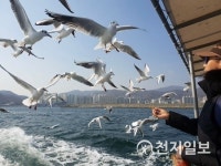 [지역명소] 복(福)주는 황금돼지섬, 돝섬으로… 올해도 잘 부탁해