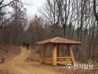 세종시교육청, 전국 최초 공립단설 솔빛숲유치원 개원