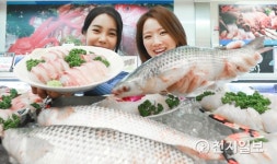 3월의 생선, 숭어회 맛보세요