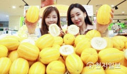 롯데마트에서 즐기는 성주 참외