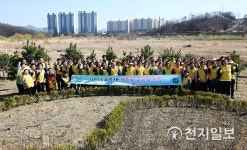 신천지자원봉사단 구미지부, 무궁화동산 가꾸기… 무궁화의 소중함 나눠요