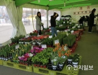 남양주시화훼연구회 공기정화 꽃 사세요