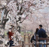 [포토] 벚꽃 향기 맡으며 봄 즐겨요