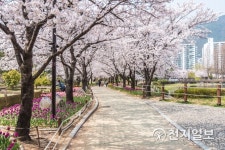 2천년 러브스토리 가득한 김해로의 봄 여행