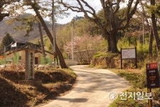 [단독] 다보사 괘불탱 원봉안처 나주 보광사 추정지 발견…신기마을 앞 금성산 자락