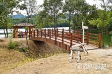 [지역명소] 함께 걷는 봄 횡성호수길서 인생샷 남길까