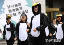 남극해는 펭귄의 터전