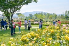 [순천] 봄 여행주간 순천만국가정원으로 피크닉 여행 오세요