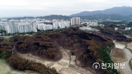 검게 타버린 아파트 단지 옆 고성산불 발생한 야산