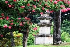 5월 가정의 달 가족과 함께 사진전시회 볼까