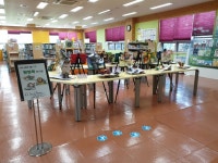 장흥군 정남진도서관, 가정의 달 맞아 다양한 행사 준비