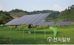서부발전 김병숙 사장, 추적식 영농형 태양광 기술 실증 추진