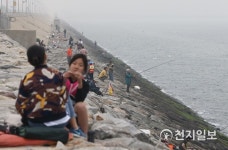 불법 낚시터로 변한 시화방조제