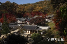 조선 교육기관인 한국의 서원, 유네스코 세계유산 등재