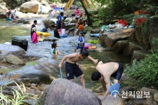 소나무숲 우거진 곡성 청계동계곡