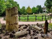 [지역명소] 숲속 보약 피톤치드 넘치는 경상남도수목원서 힐링