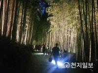 별빛·달빛 여행… 낭만 가득, 담양으로 오세요