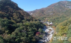 [동해] 무릉계곡 숲길 산행환경 조성