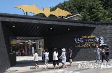 [동해] 특화 관광지자원  본격 개발·추진