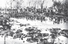 [단독] 관동대지진 대학살 미공개 사진… 日 눈치 보지 말고 이제는 정부가 적극 규명하고 나서야