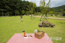 경기관광공사, 가족과 소풍 떠나기 좋은 날…가을 들꽃을 찾아 나서다