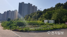 김포시, 11월까지 마산동 일원 1000㎡ 규모 숲 조성한다