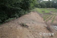 [다시 쓰는 백제사] 금동관이 찾아진 화성 향남 일대 유적 백제-마한 통합 역사의 타임캡슐 (1)