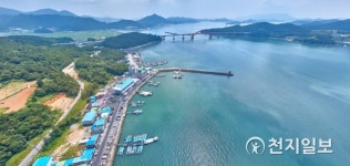 [지역축제] 강진 마량 미항 제철 찰전어 맛보러 오세요