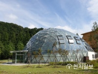 Naver search result photo 1
