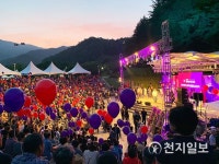 [지역명물] 전국 생산 1위 김천 포도… 더 새콤달콤, 항암‧노화방지 효과도
