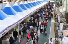 [부산] 금정구, 온천천서 라라라 페스티벌 등 풍성한 축제 열어