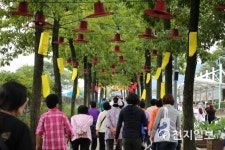 곡성심청축제장 입구 장식한 오 마이 갓