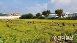 담양군, 제18호 태풍 미탁 피해농가 돕기 나서