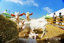 전남 국제농업박람회, 농업 쉽고 재밌게 소개… 볼거리·즐길거리 풍성