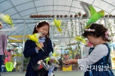 [장성] 황룡강 노란꽃잔치, 대한민국 대표 꽃 축제 인증