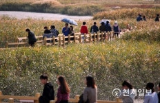 Foto hasil pencarian Naver 2