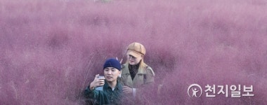 분홍으로 물든 가을