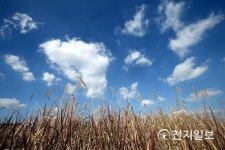 맑은 가을 하늘