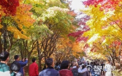 NAVER検索結果の写真 1