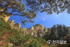 [동해] 대한민국의 장가계 베틀바위