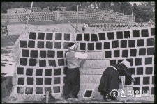 [사진으로 보는 역사] 삶 그 자체였던 작업(作業) ①