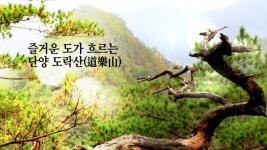 [탐방에세이] 즐거운 도가 흘러나오는 단양 도락산