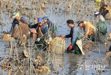 [강진] 병영면 전통어로법 가래치기로 고기잡아요