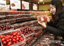 롯데마트, 칠레산 항공직송 체리 판매 시작!